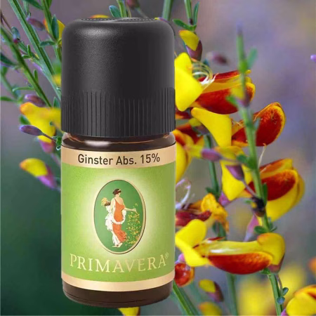Ginster Absolue 15% รtherisches รl