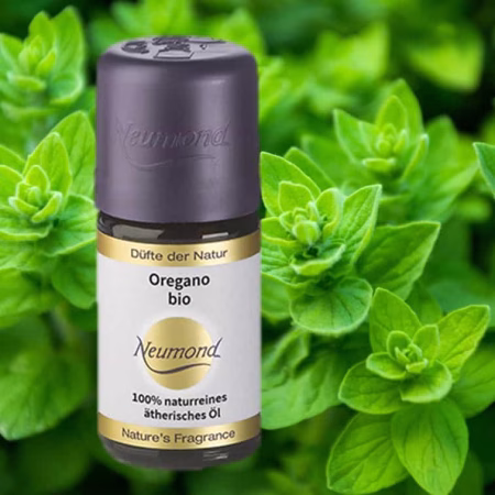 Oregano bio รherisches รl von Neumond