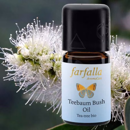 Teebaum WS รtherisches รl von Farfalla