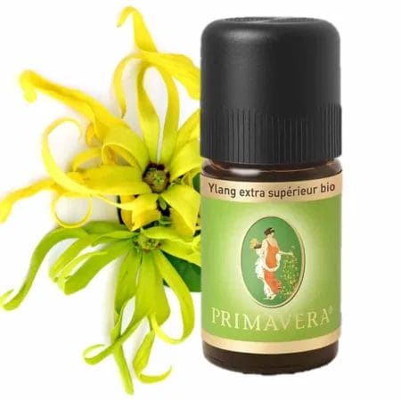Ylang-Ylang extra superieur bio รtherisches รl von Primavera